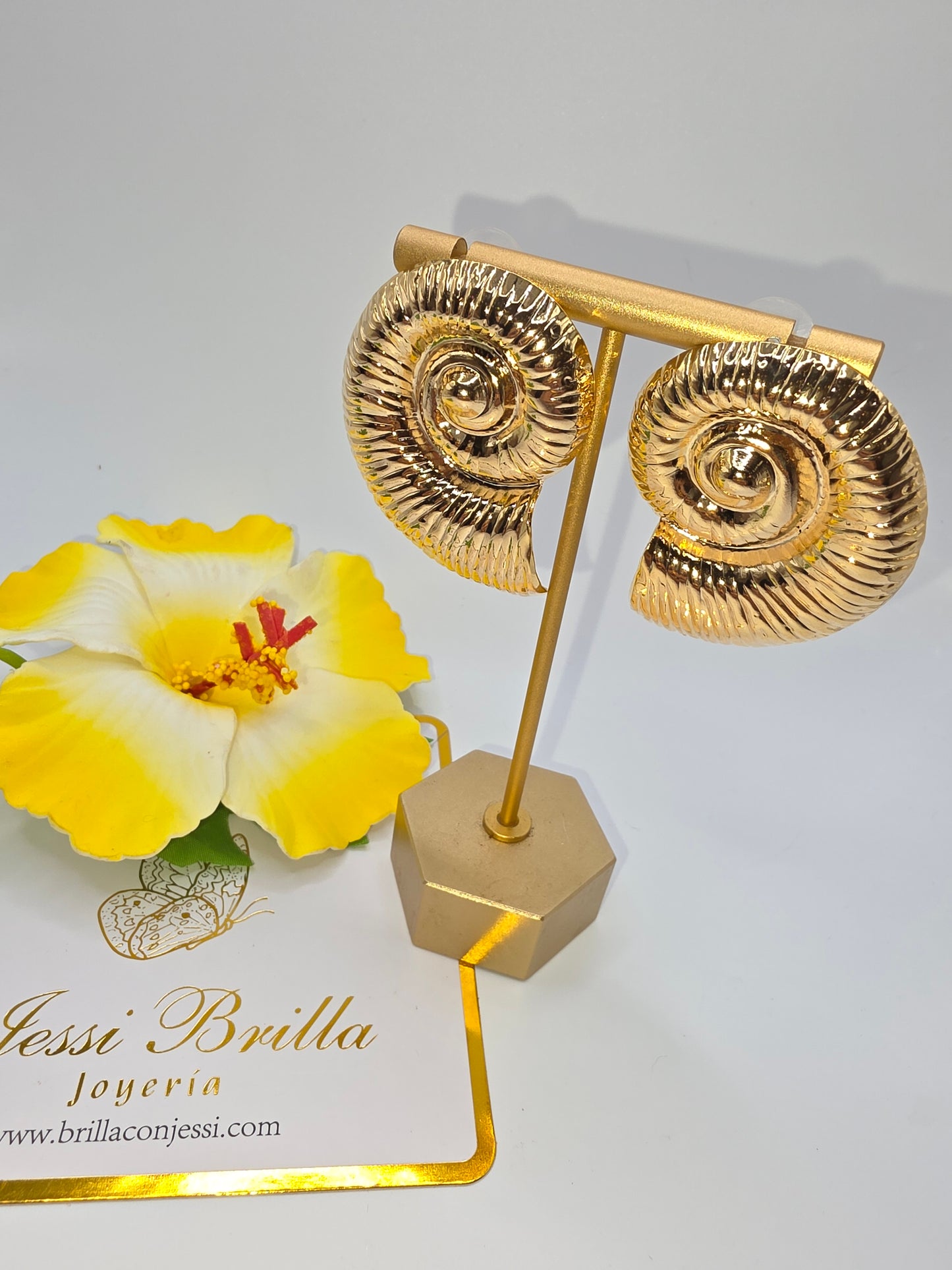 Set de Balines y Caracol