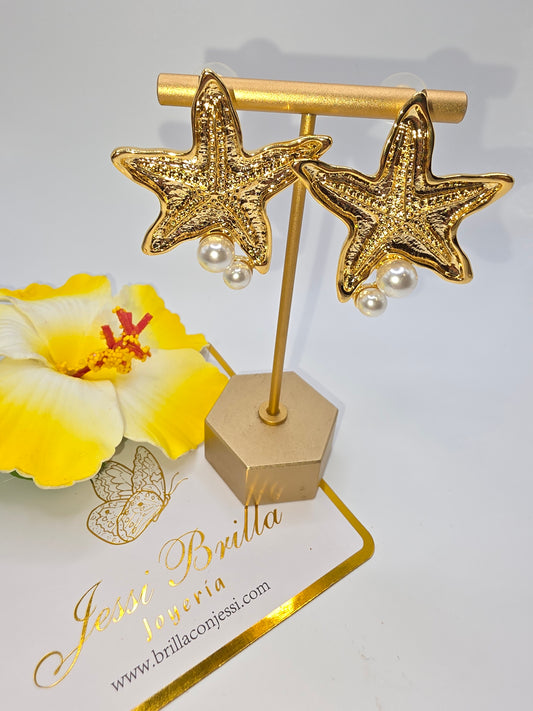 Aretes de Estrellas Silver y Oro