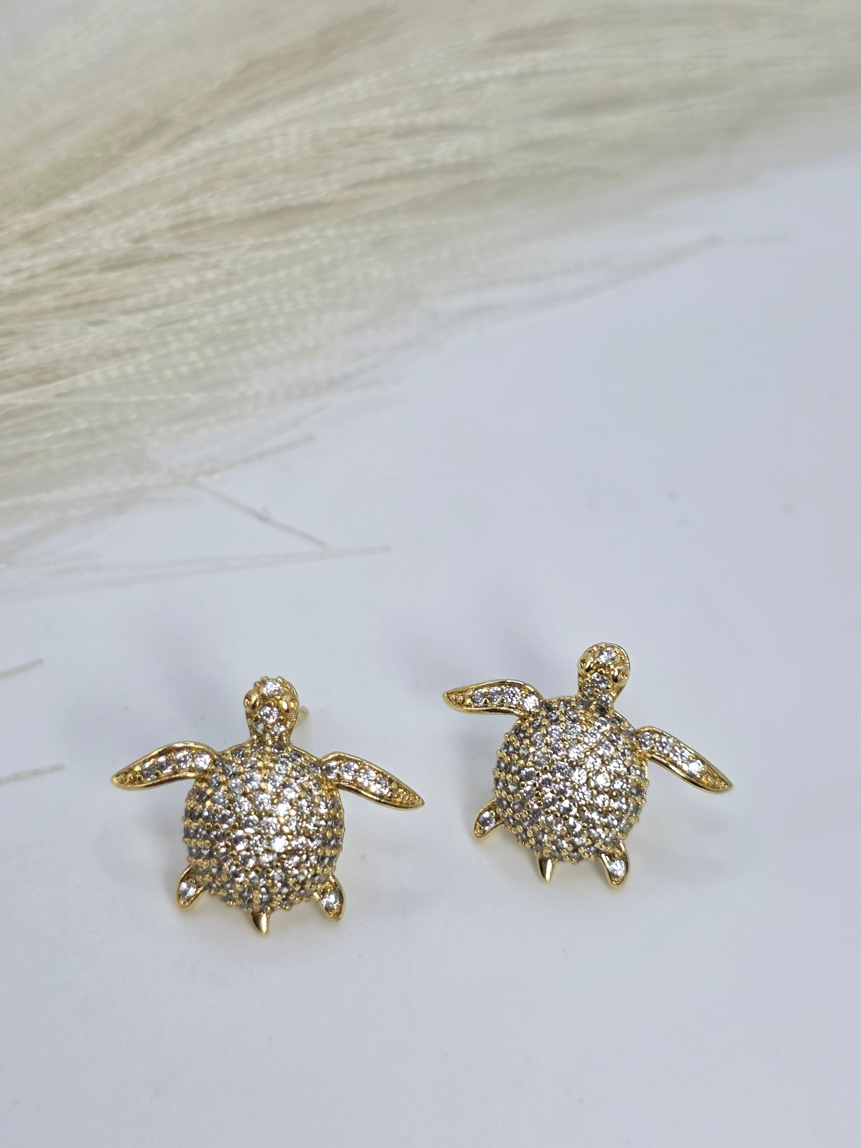 Mini Turtles Small turtles