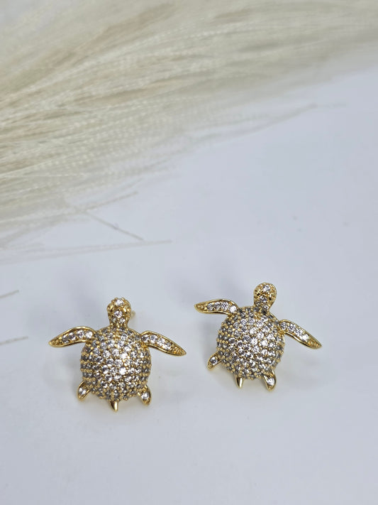 Mini Turtles Small turtles