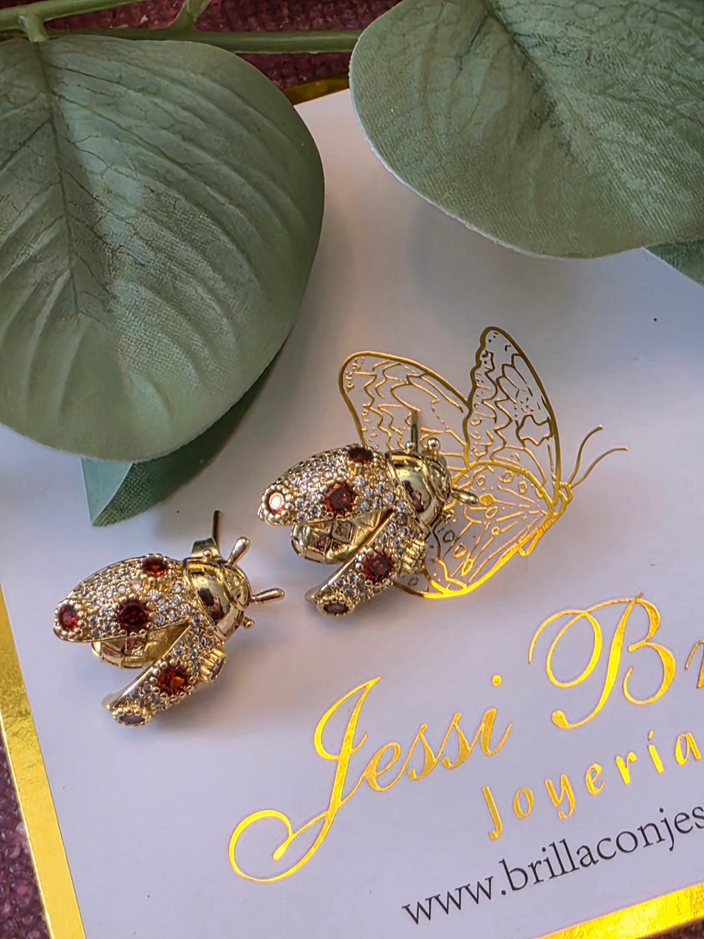 Aretes coquito
