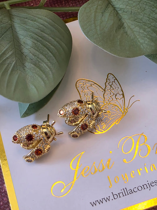 Aretes coquito